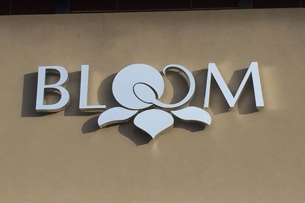 Reverse Pan Channel Letters with Halo Illumination